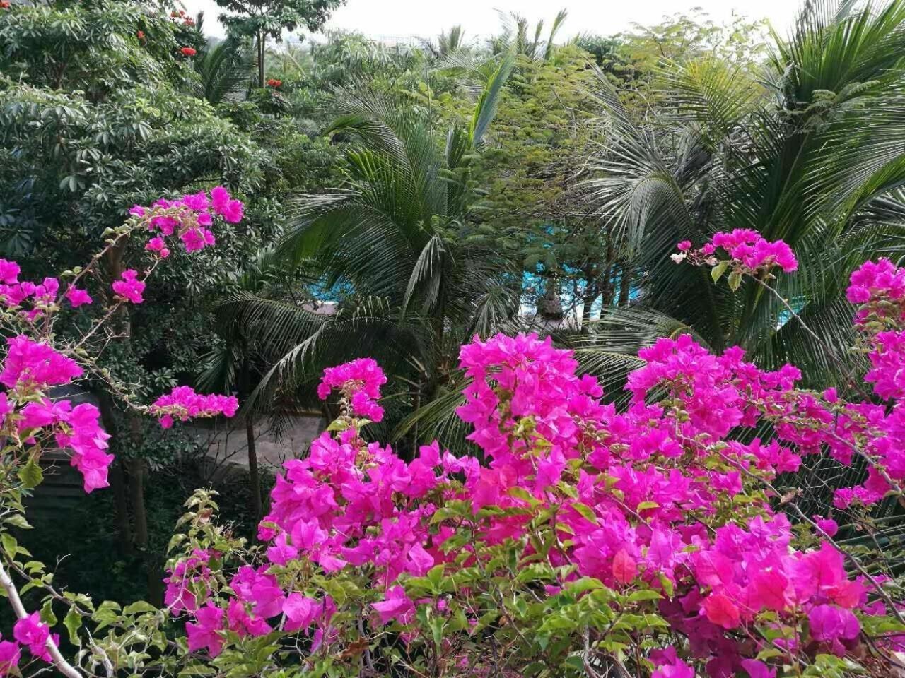Stony Brook Villa Jianguo Resort San-ja Exteriér fotografie